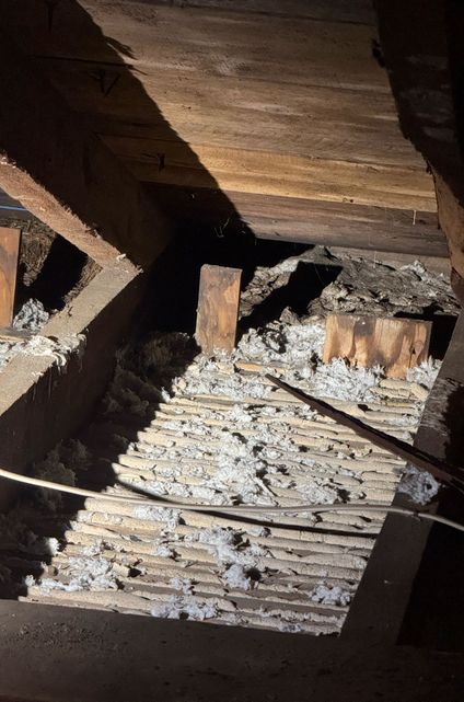 Old Insulation Removed